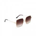 Unisex Brown Lens & Gold-Toned Square Sunglasses TSQUARE_C3